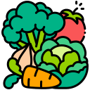 Fresh Vegetables