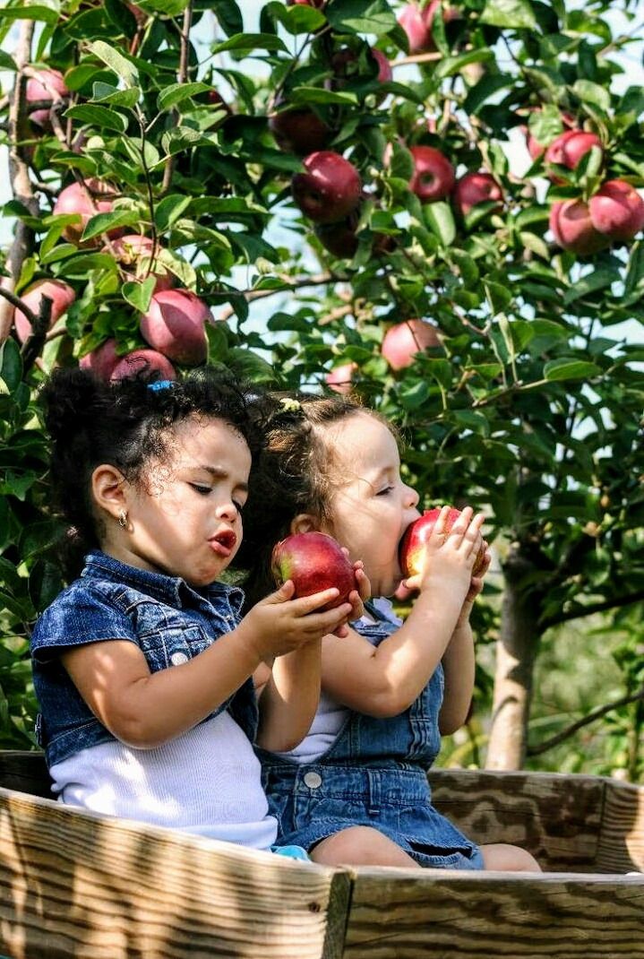 Natural Nutrition