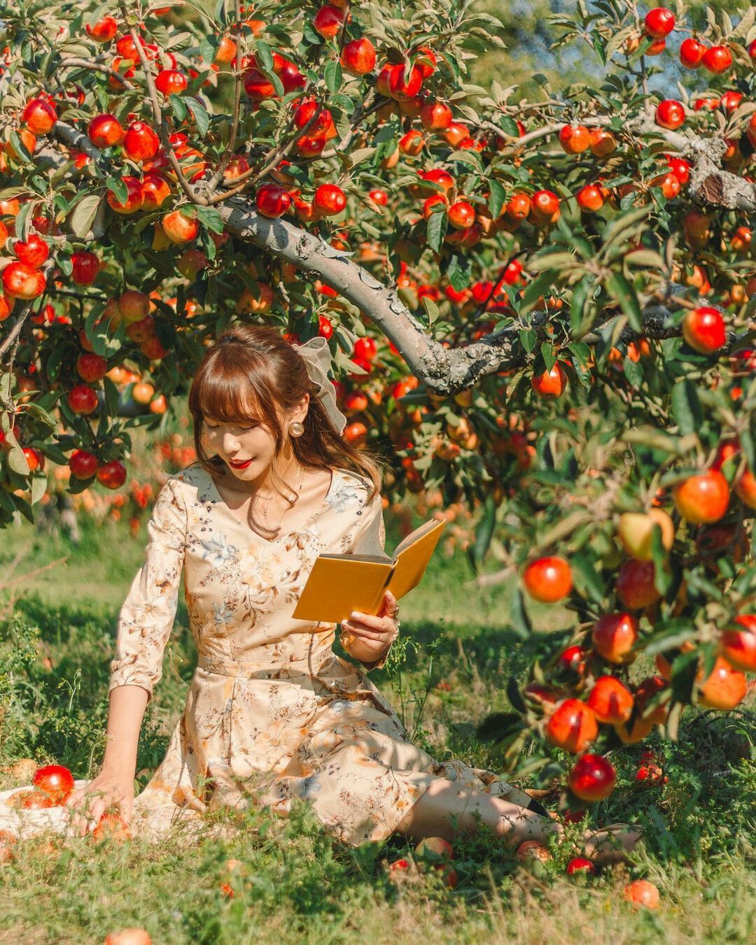 Organic Fruits