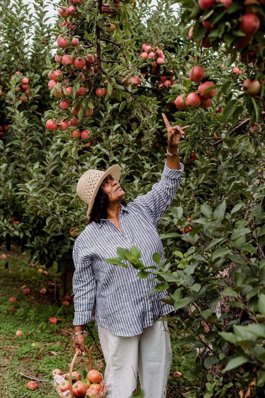 Organic Fruits Cultivation